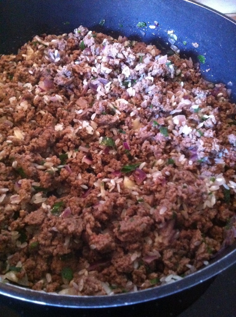 Beef and Rice